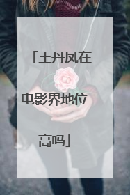 王丹凤在电影界地位高吗