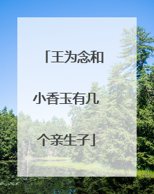 王为念和小香玉有几个亲生子