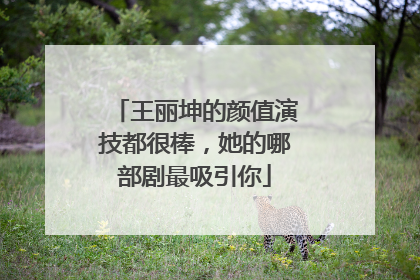 王丽坤的颜值演技都很棒,她的哪部剧最吸引你