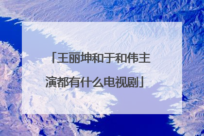 王丽坤和于和伟主演都有什么电视剧