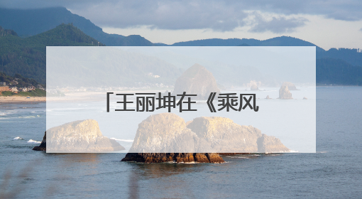 王丽坤在《乘风破浪的姐姐》中又跟谁组队了，为何会很开心？