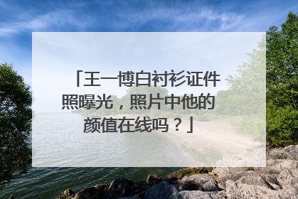 王一博白衬衫证件照曝光，照片中他的颜值在线吗？
