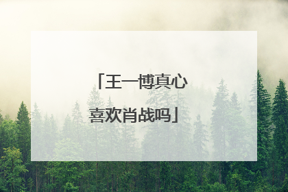 王一博真心喜欢肖战吗