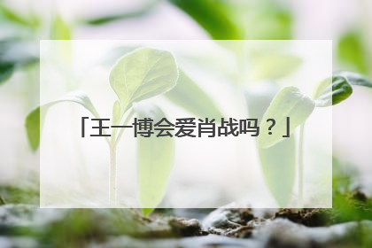 王一博会爱肖战吗?