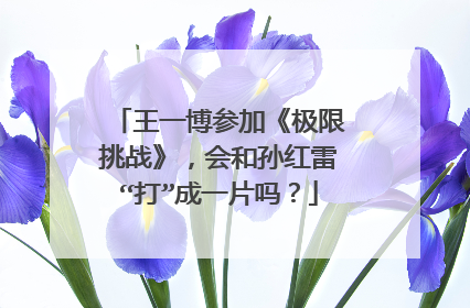 王一博参加《极限挑战》,会和孙红雷“打”成一片吗?
