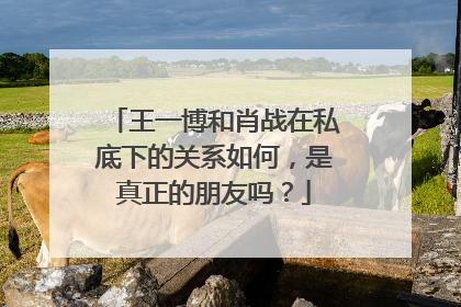 王一博和肖战在私底下的关系如何，是真正的朋友吗？