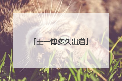 王一博多久出道