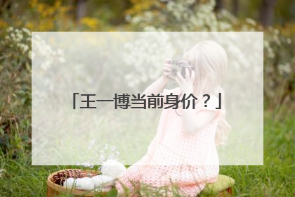 王一博当前身价?