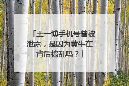 王一博手机号曾被泄露，是因为黄牛在背后捣乱吗？