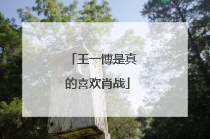 王一博是真的喜欢肖战