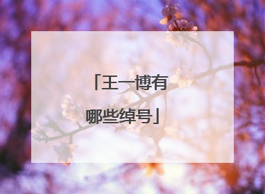 王一博有哪些绰号