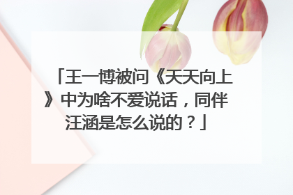 王一博被问《天天向上》中为啥不爱说话,同伴汪涵是怎么说的?