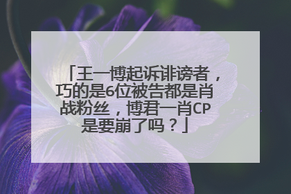 王一博起诉诽谤者，巧的是6位被告都是肖战粉丝，博君一肖CP是要崩了吗？