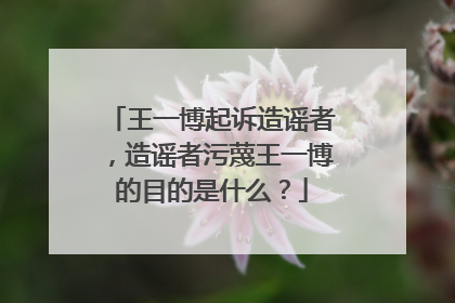 王一博起诉造谣者，造谣者污蔑王一博的目的是什么？