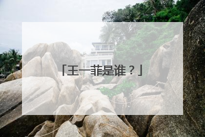 王一菲是谁？