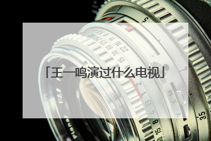 王一鸣演过什么电视