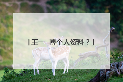 王一 博个人资料?
