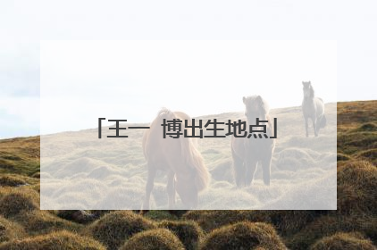 王一 博出生地点