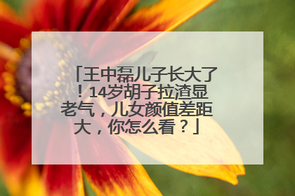 王中磊儿子长大了！14岁胡子拉渣显老气，儿女颜值差距大，你怎么看？