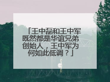 王中磊和王中军既然都是华谊兄弟创始人,王中军为何如此低调?