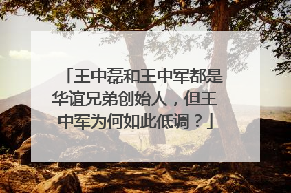 王中磊和王中军都是华谊兄弟创始人,但王中军为何如此低调?