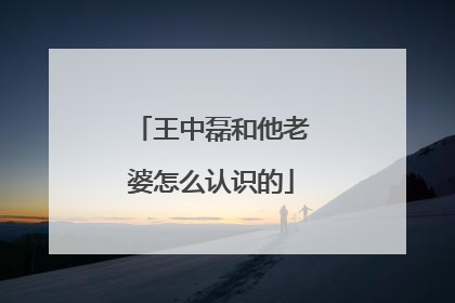 王中磊和他老婆怎么认识的
