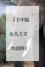 王中磊女儿王文也资料