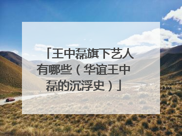 王中磊旗下艺人有哪些（华谊王中磊的沉浮史）