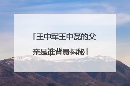 王中军王中磊的父亲是谁背景揭秘