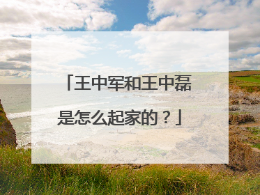 王中军和王中磊是怎么起家的?