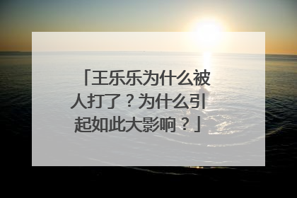 王乐乐为什么被人打了？为什么引起如此大影响？