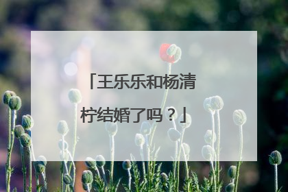 王乐乐和杨清柠结婚了吗？