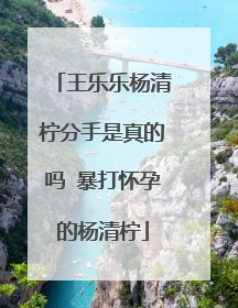 王乐乐杨清柠分手是真的吗 暴打怀孕的杨清柠