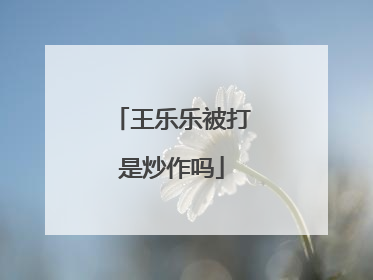 王乐乐被打是炒作吗