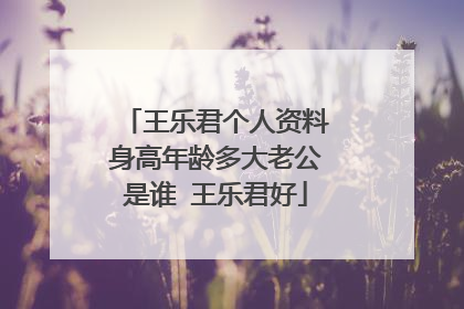 王乐君个人资料身高年龄多大老公是谁 王乐君好