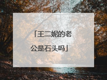 王二妮的老公是石头吗