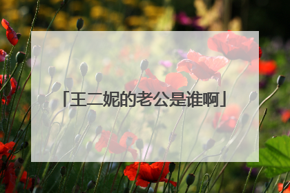 王二妮的老公是谁啊