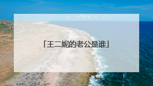 王二妮的老公是谁