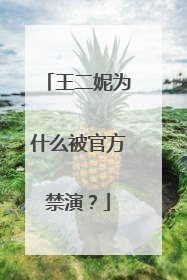 王二妮为什么被官方禁演？
