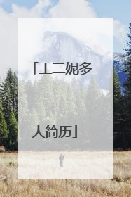 王二妮多大简历