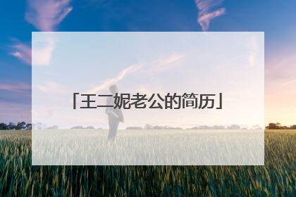 王二妮老公的简历