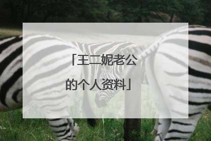 王二妮老公的个人资料