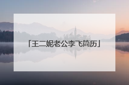 王二妮老公李飞简历