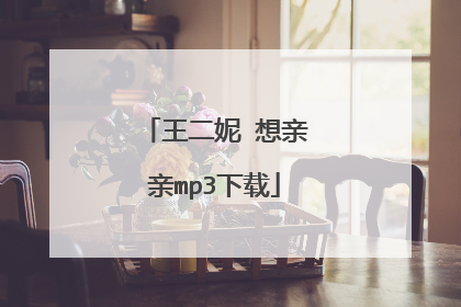 王二妮 想亲亲mp3下载