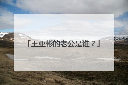 王亚彬的老公是谁？