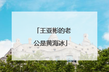 王亚彬的老公是黄海冰