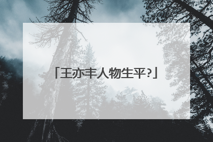 王亦丰人物生平?