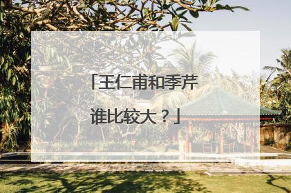 王仁甫和季芹谁比较大？