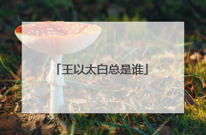 王以太白总是谁