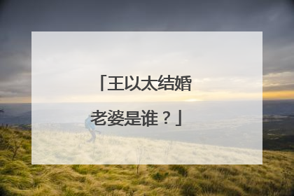 王以太结婚老婆是谁?